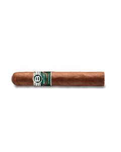 Bentley Robusto einzeln