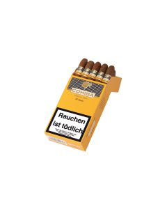 Cohiba Short offen