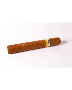 Cohiba Robusto einzeln